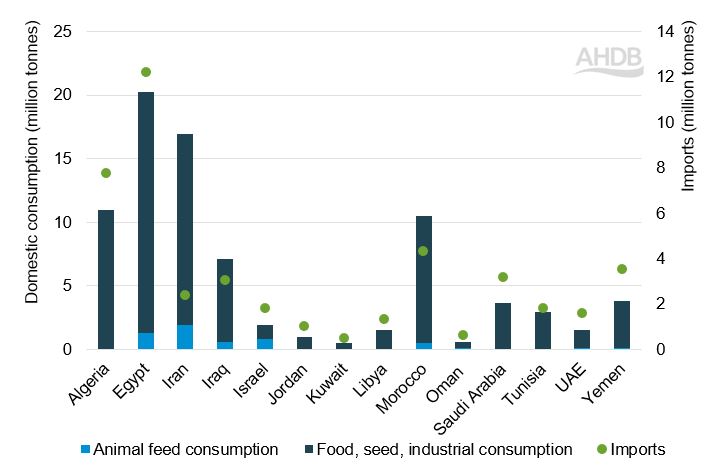 Stacked bar graph, with markers, showing wheat consumption and imports in selected MENA countries